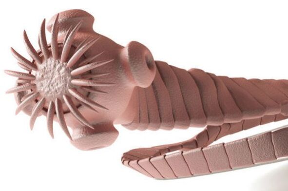 паразит из организма человека